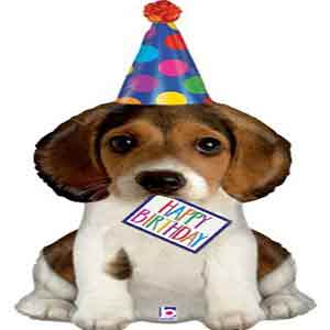 41In Birthday Party Pup Balloon Delivery
